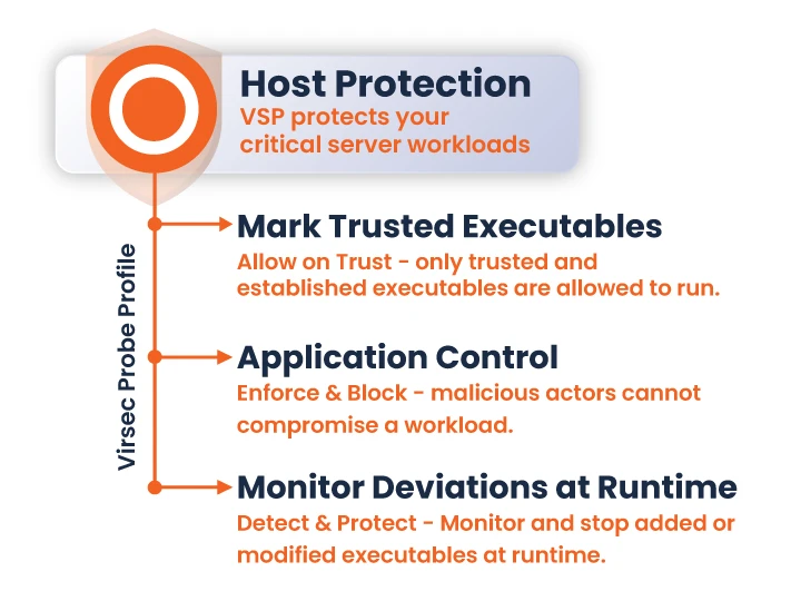 VSP-Host-Protection-V3-2-8-24