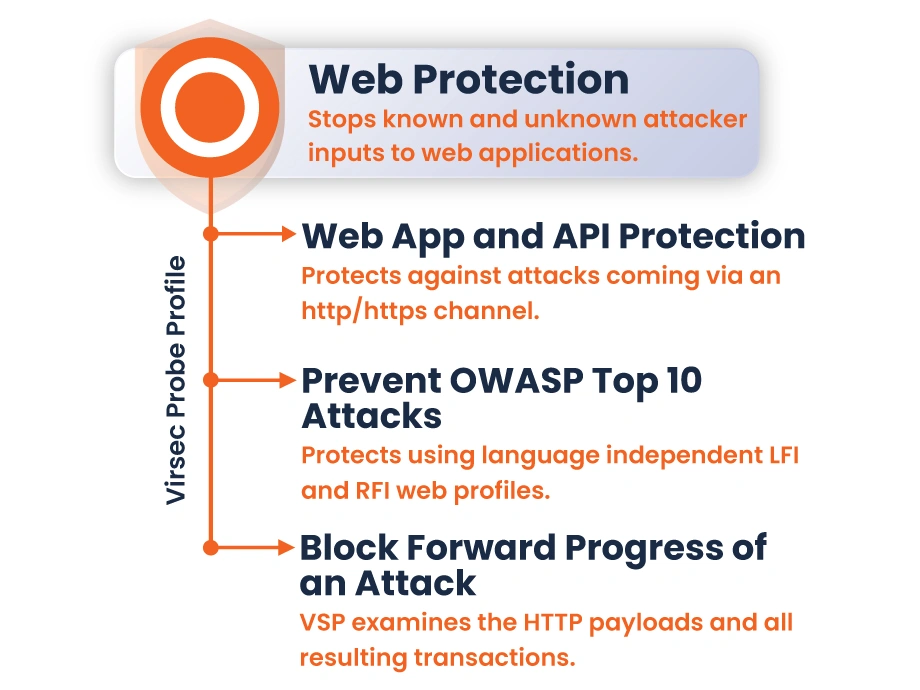 VSP-Web-Protection-V2-1-8-24-1